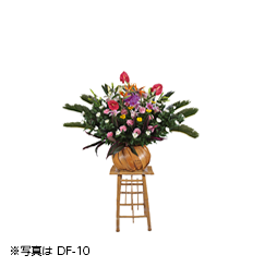DF-15